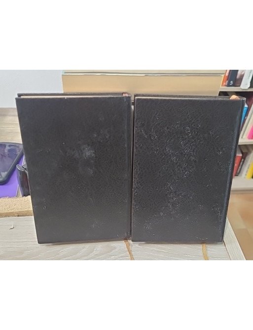 Le destin fabuleux du Maréchal Rommel - Tome 1 et 2