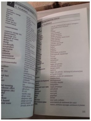 L'anglais économique et commercial - Pour maîtriser la langue des affaires