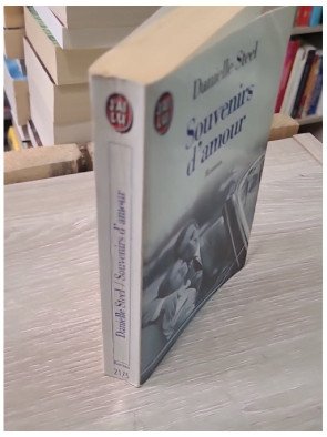 Souvenirs d'amour – Danielle Steel | Roman sentimental | J'ai Lu n°2175