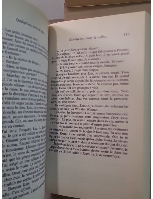 Quelqu'un dans la vallée - Roman de Claude Courchay