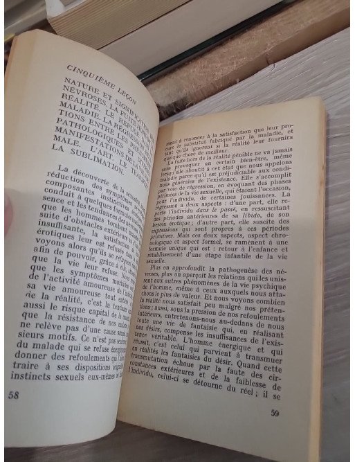 Cinq Leçons sur la psychanalyse - Introduction à la pensée de Sigmund Freud