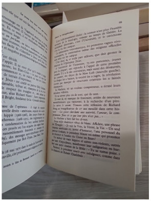 Le jeune lion dort avec ses dents - Génies et faussaires de la contre-culture