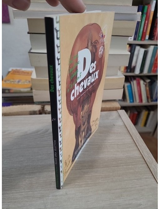 Des chevaux - Découverte des races de chevaux élevées en France