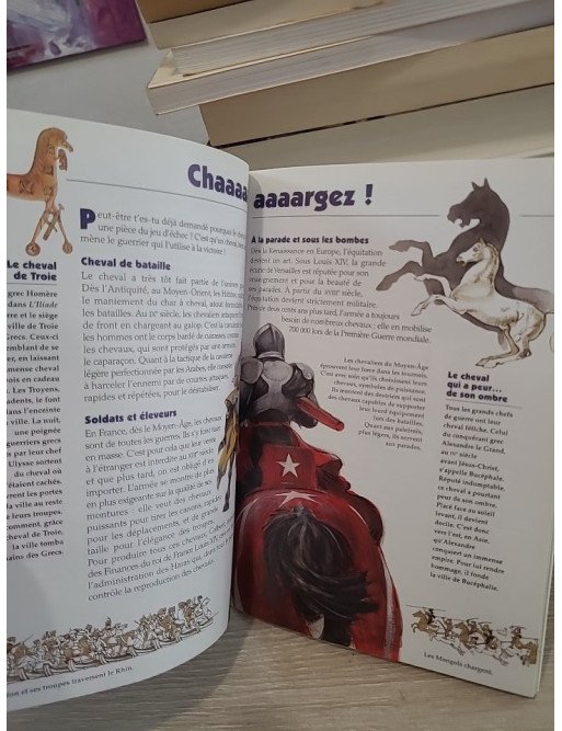 Des chevaux - Découverte des races de chevaux élevées en France