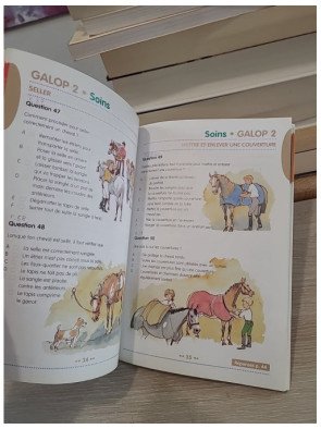 Galops 1 à 4 - Questions/Réponses d'examens pour préparer les diplômes d'équitation
