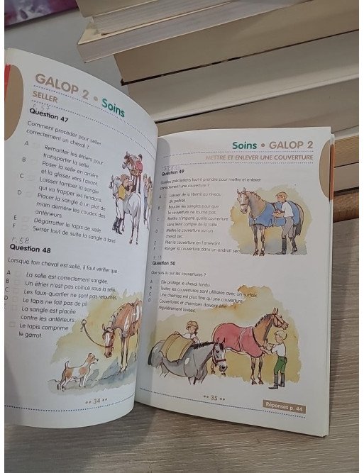 Galops 1 à 4 - Questions/Réponses d'examens pour préparer les diplômes d'équitation