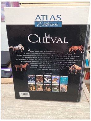 Le cheval - Comportement et caractères