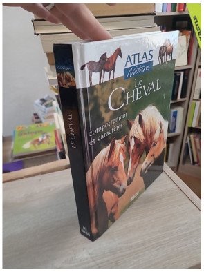 Le cheval - Comportement et caractères