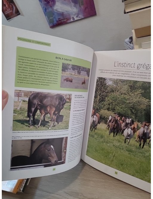 Le cheval - Comportement et caractères