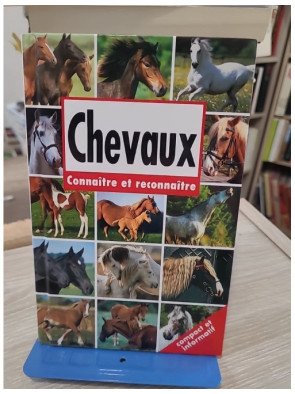 Horses - Recognising and Identifying | Guide d'identification des chevaux