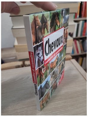 Horses - Recognising and Identifying | Guide d'identification des chevaux