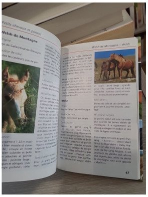 Horses - Recognising and Identifying | Guide d'identification des chevaux