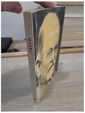 Freud écrivain de toujours