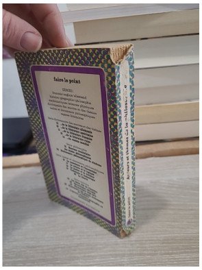 Dictionnaire des auteurs et des thèmes de la philosophie