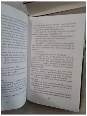 Les lumières du Nord