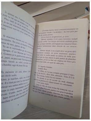 La parenthèse des Anges - Journal intime d'une jeune femme en quête d'apaisement