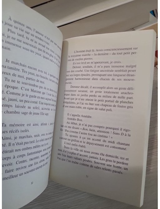 La parenthèse des Anges - Journal intime d'une jeune femme en quête d'apaisement