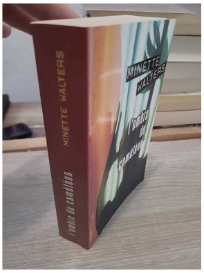 L'ombre du caméléon - Thriller psychologique sur les secrets et l'identité