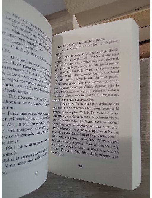 L'été retrouvé - Roman de souvenirs et de secrets dans les Cévennes