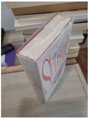 Scarlett - La suite d'Autant en emporte le vent