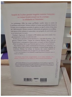 Les Roses Noires - Roman historique d'aventure en Amérique coloniale