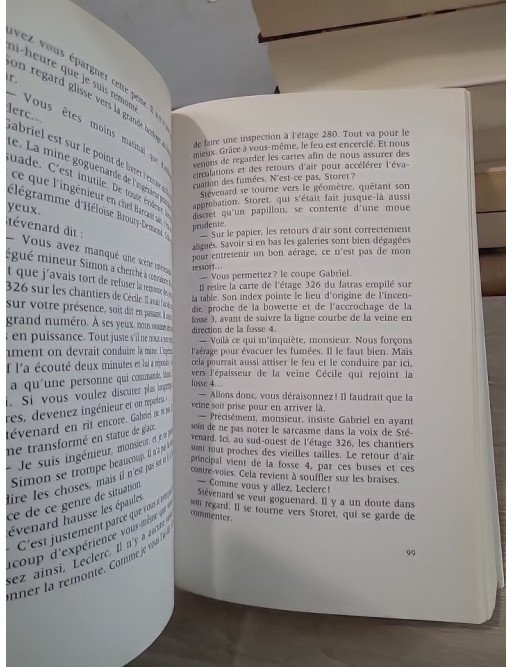 Les Roses Noires - Roman historique d'aventure en Amérique coloniale