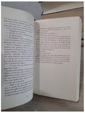 Les Aventures improbables de Julie Dumont - Roman policier et humour noir en province