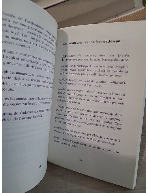 La maison près du lac - Roman