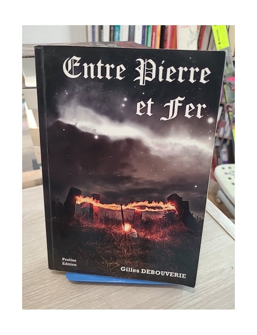 Entre Pierre et fer - Roman historique