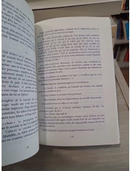 Entre Pierre et fer - Roman historique