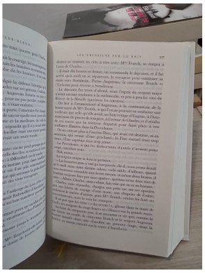 Les Blancs et les Bleus – roman historique sur la Révolution française