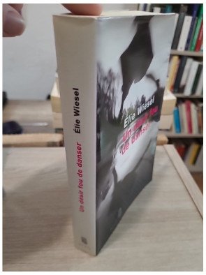 Un désir fou de danser – roman introspectif sur la mémoire et l'identité