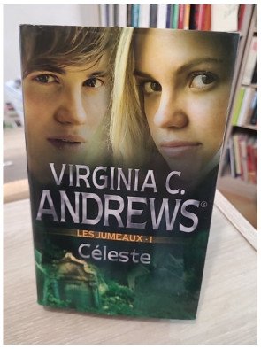 Les Jumeaux Tome 1 : Céleste – saga familiale dramatique