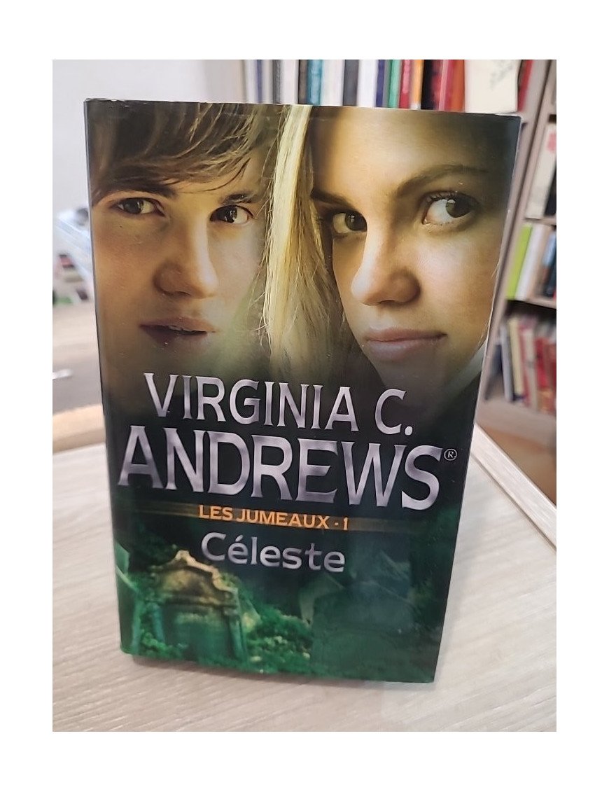 Les Jumeaux Tome 1 : Céleste – saga familiale dramatique