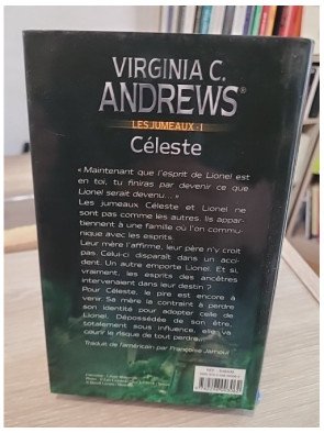 Les Jumeaux Tome 1 : Céleste – saga familiale dramatique