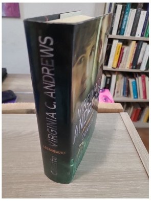 Les Jumeaux Tome 1 : Céleste – saga familiale dramatique