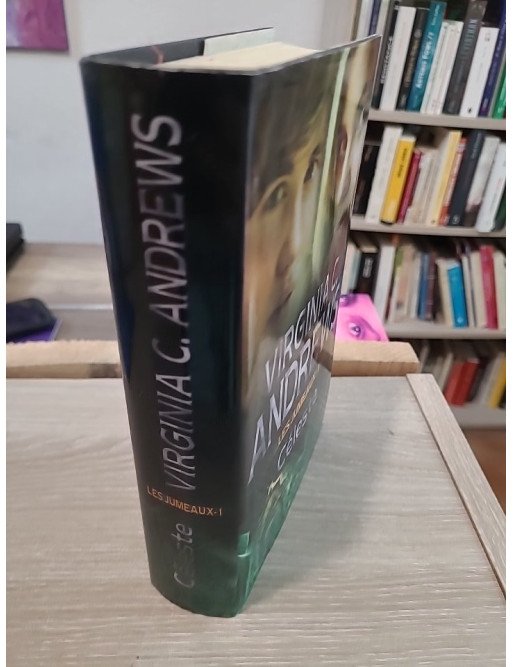 Les Jumeaux Tome 1 : Céleste – saga familiale dramatique