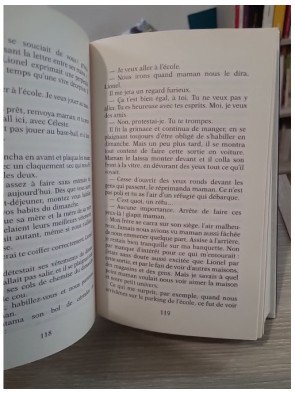 Les Jumeaux Tome 1 : Céleste – saga familiale dramatique