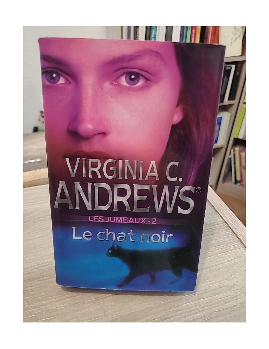 Les Jumeaux Tome 2 : Le chat noir – saga familiale dramatique