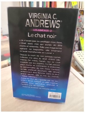 Les Jumeaux Tome 2 : Le chat noir – saga familiale dramatique