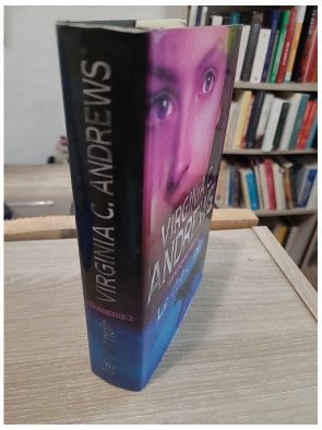 Les Jumeaux Tome 2 : Le chat noir – saga familiale dramatique