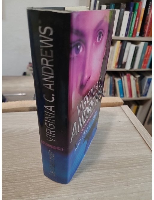 Les Jumeaux Tome 2 : Le chat noir – saga familiale dramatique