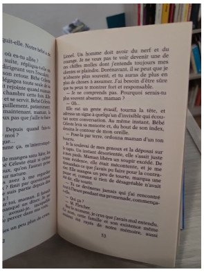 Les Jumeaux Tome 2 : Le chat noir – saga familiale dramatique