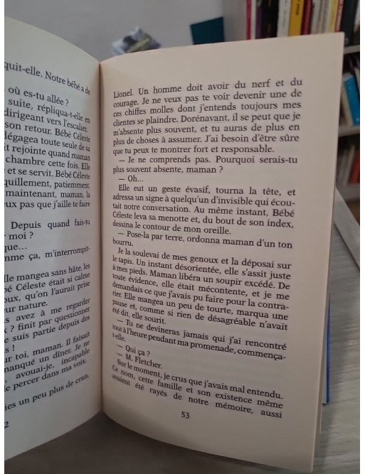 Les Jumeaux Tome 2 : Le chat noir – saga familiale dramatique