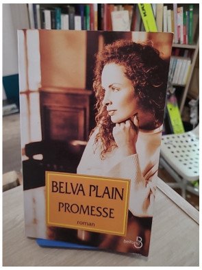 Promesse – saga familiale et roman sentimental