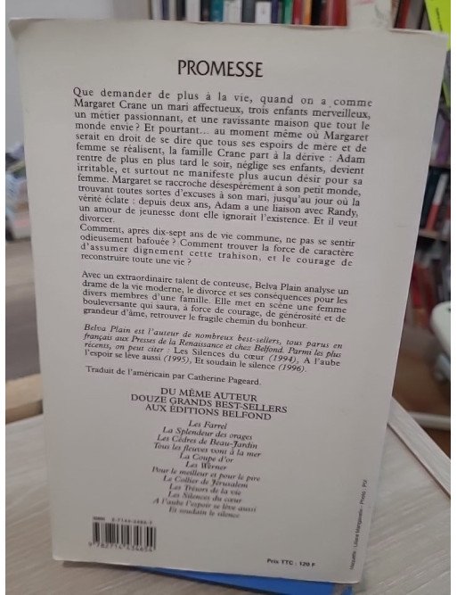 Promesse – saga familiale et roman sentimental