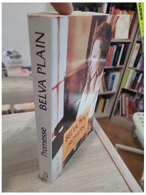 Promesse – saga familiale et roman sentimental