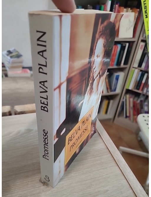 Promesse – saga familiale et roman sentimental