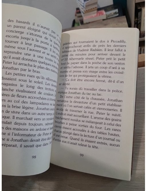 La prochaine fois – roman entre amour, mystère et art