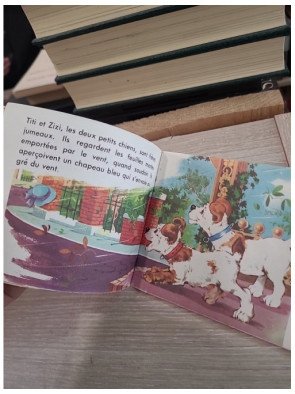 Titi et Zizi aiment les biscuits